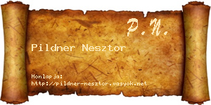 Pildner Nesztor névjegykártya